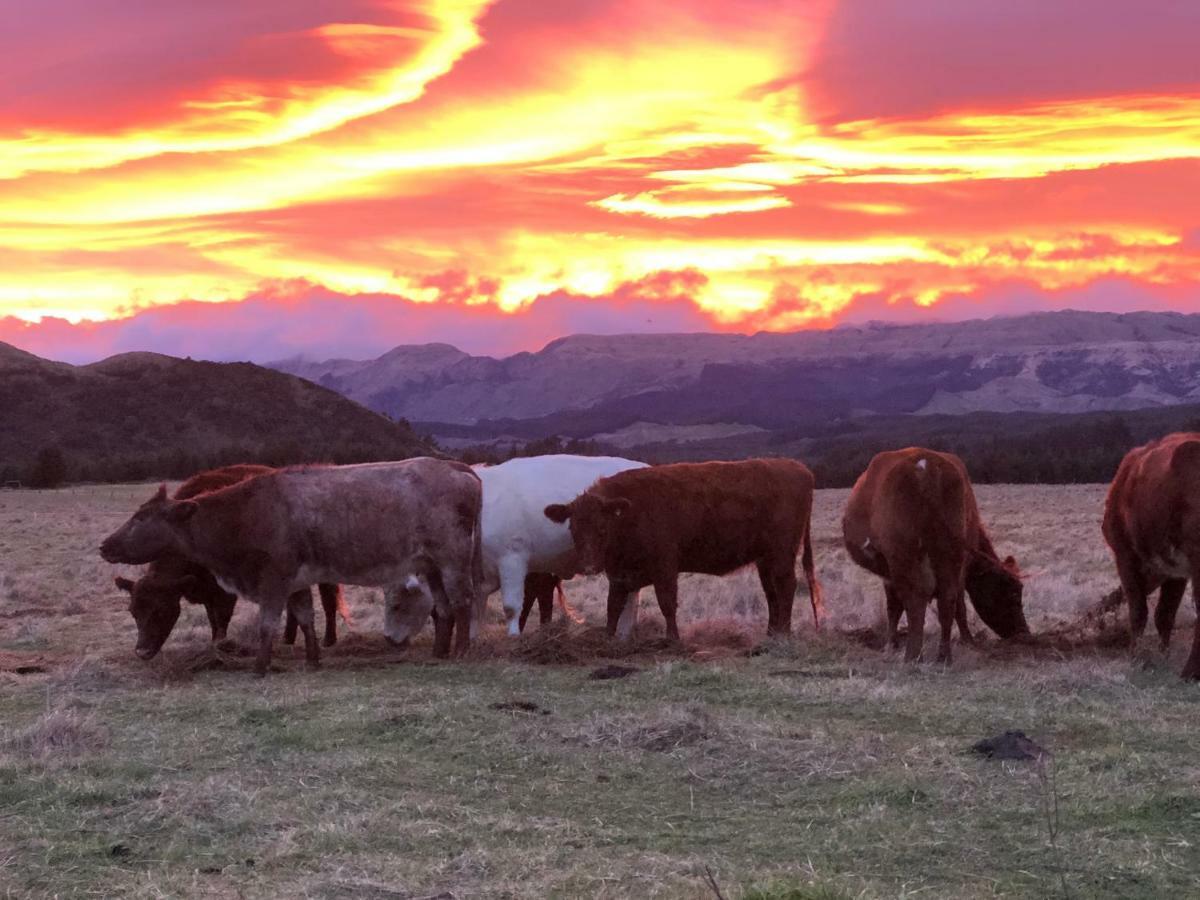 Mohaka River Farm Te Haroto Exterior foto